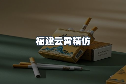 福建云霄精仿